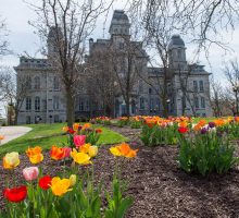 Vibrant flowers blooming in front of Hall of Languages